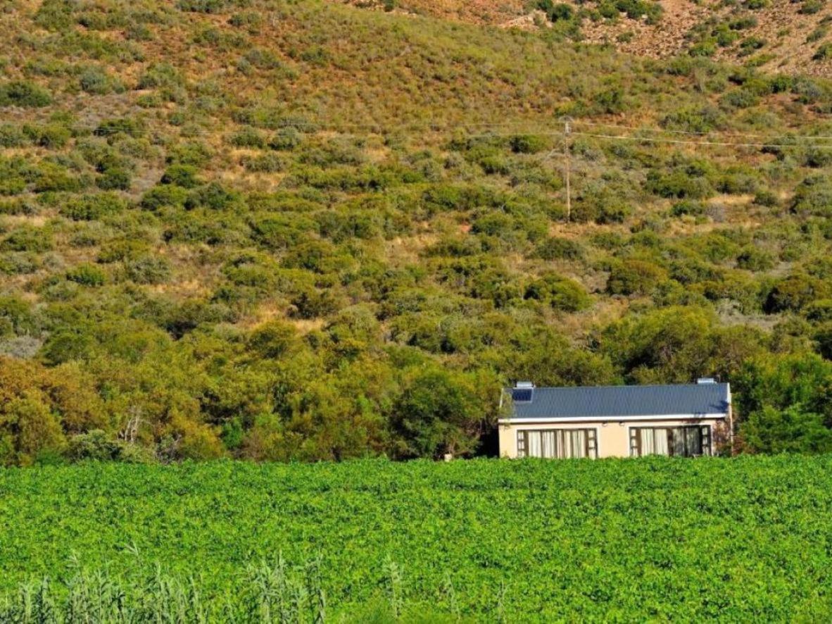 Mymering Wine & Guest Estate レディスミス エクステリア 写真